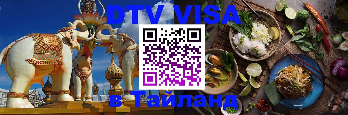 Сколько стоит DTV виза — актуальные цены, оформление даже без документов - 19.11.2025 